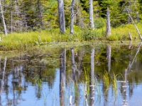 Park Narodowy Gros Morne
